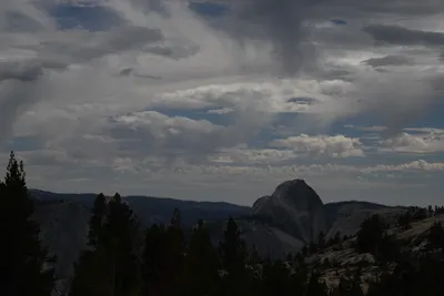 DSC_4405 (Large).JPG